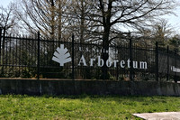 National Arboretum in DC